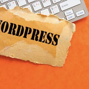 WordPressテーマのおすすめは(有料&無料)？インストールと削除方法も