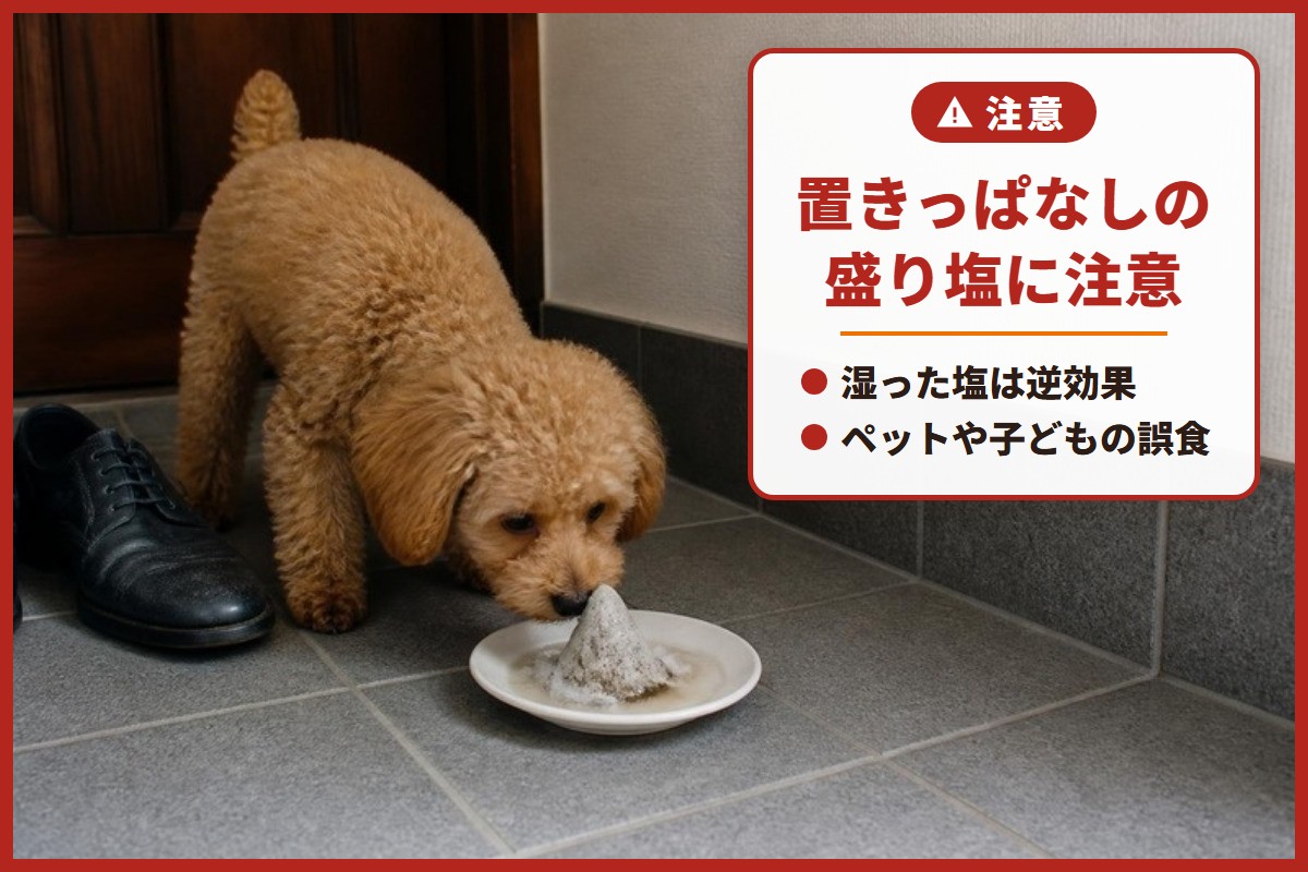 注意：置きっぱなしの盛り塩に注意。湿った塩は逆効果、ペットや子どもの誤食にも気をつけて（玄関の床で、溶けて汚れた盛り塩に鼻を近づける子犬）