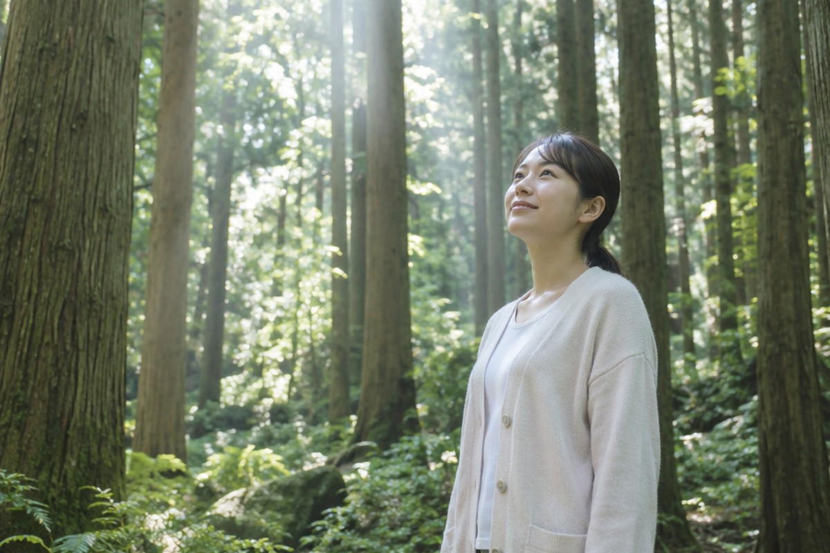 森の中で、背の高い杉の木を見上げる女性